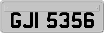 GJI5356