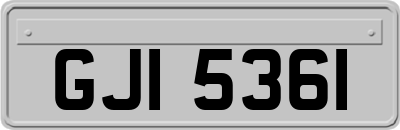 GJI5361