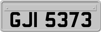GJI5373