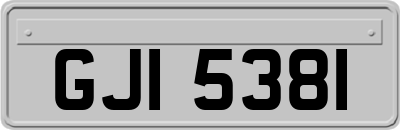 GJI5381