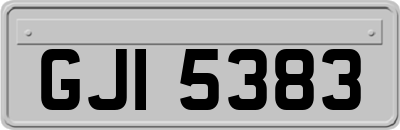 GJI5383