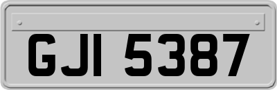 GJI5387