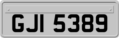 GJI5389