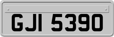 GJI5390