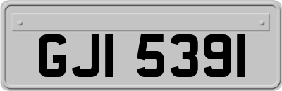 GJI5391