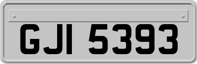 GJI5393