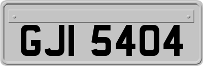 GJI5404