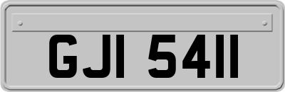 GJI5411
