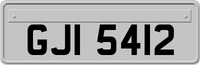 GJI5412