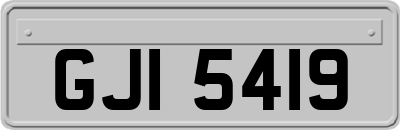 GJI5419