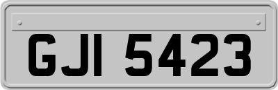 GJI5423