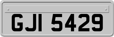 GJI5429