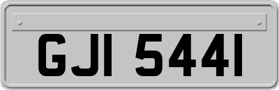 GJI5441