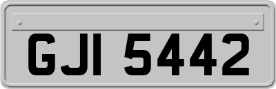GJI5442