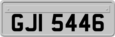GJI5446