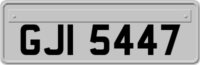 GJI5447