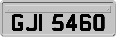GJI5460