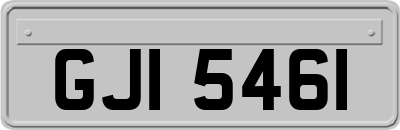 GJI5461