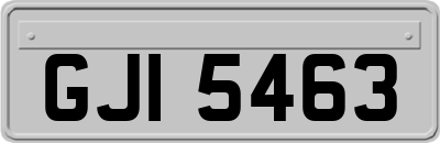 GJI5463