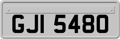 GJI5480