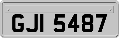 GJI5487