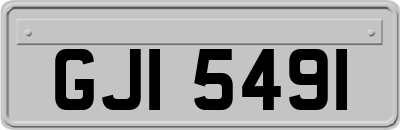 GJI5491