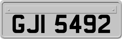 GJI5492