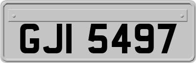 GJI5497