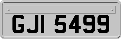 GJI5499
