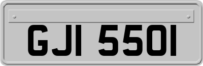 GJI5501