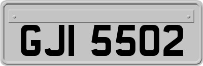 GJI5502