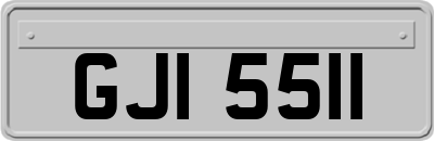 GJI5511