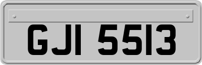 GJI5513