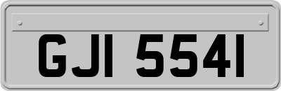 GJI5541