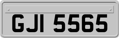 GJI5565