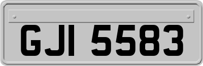 GJI5583