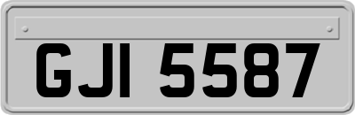GJI5587