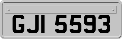 GJI5593