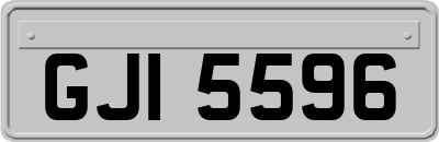 GJI5596