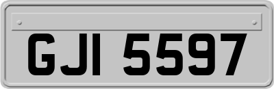 GJI5597