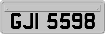 GJI5598