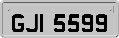 GJI5599