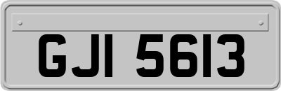 GJI5613