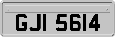 GJI5614