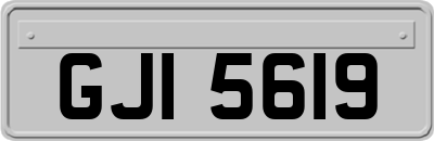 GJI5619