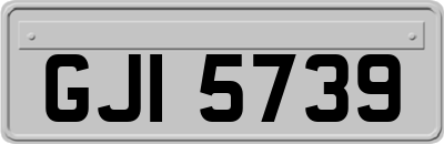 GJI5739