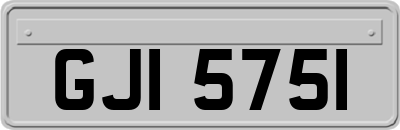 GJI5751