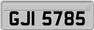 GJI5785