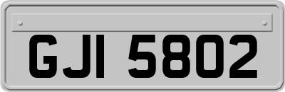 GJI5802