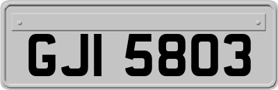 GJI5803